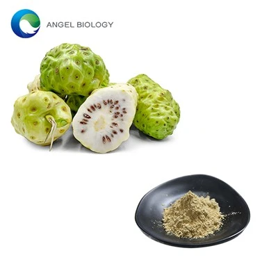 Does Noni Fruit Powder Help with Digestion?